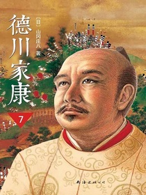 德川家康7：南征北战