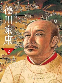 德川家康2：崛起三河