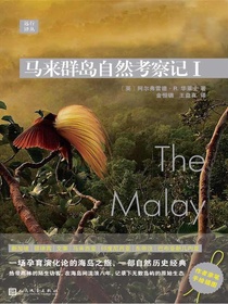 马来群岛自然考察记I（远行译丛）