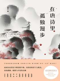 在唐诗里孤独漫步