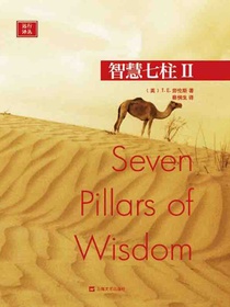 智慧七柱Ⅱ（远行译丛）
