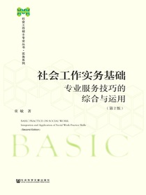 社会工作实务基础：专业服务技巧的综合与运用（第2版）（社会工作硕士专业丛书·实务系列）