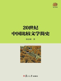 20世纪中国比较文学简史