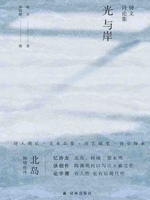 光与岸：钟文诗论集