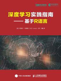 深度学习实践指南：基于R语言