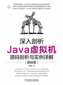 深入剖析Java虚拟机：源码剖析与实例详解（基础卷）