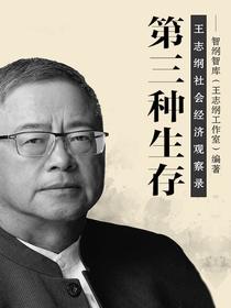第三种生存：王志纲社会经济观察录