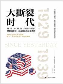 大撕裂时代