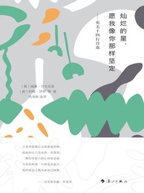 灿烂的星，愿我像你那样坚定