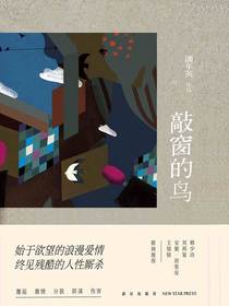 敲窗的鸟