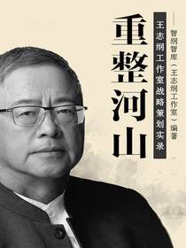 重整河山：王志纲工作室战略策划实录