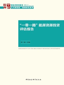 “一带一路”能源资源投资评估报告