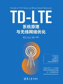 TD-LTE系统原理与无线网络优化