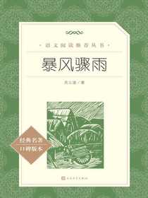 暴风骤雨（语文阅读推荐丛书）