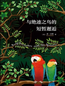 与绝迹之鸟的短暂邂逅