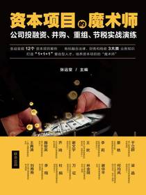 资本项目的魔术师：公司投融资、并购、重组、节税实战演练