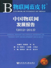 物联网蓝皮书：中国物联网发展报告（2012～2013）