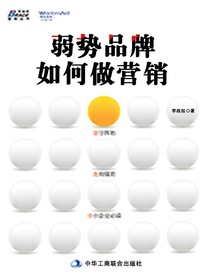 弱势品牌如何做营销