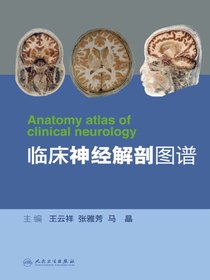 临床神经解剖图谱