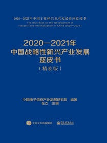 2020-2021年中国战略性新兴产业发展蓝皮书