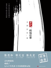 言他：桐城往事