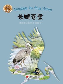长腿苍鹭