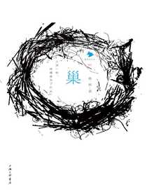 巢
