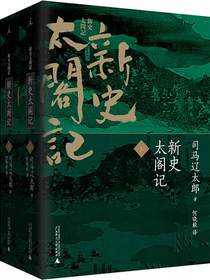 新史太阁记