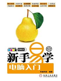 新手易学：电脑入门