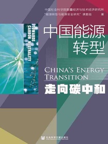 中国能源转型：走向碳中和