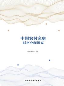 中国农村家庭财富分配研究