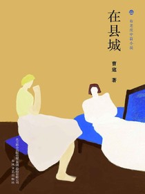 在县城（布老虎中篇小说）