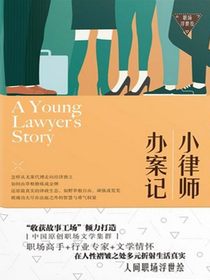 小律师办案记