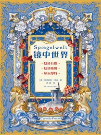 镜中世界