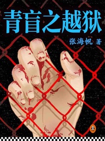 青盲之越狱