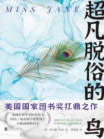 超凡脱俗的鸟