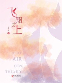 飞翔之上