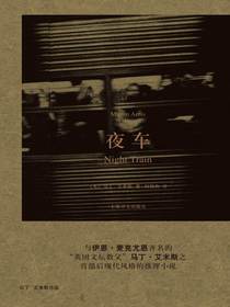 夜车（马丁·艾米斯作品）