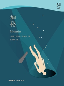 神秘（北欧文学译丛）