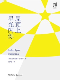 屋顶上星光闪烁（北欧文学译丛）