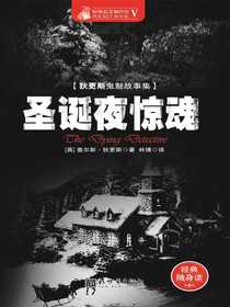 惊悚悬念袖珍馆Ⅴ：圣诞夜惊魂