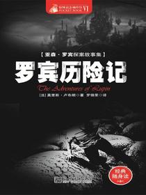 惊悚悬念袖珍馆Ⅵ：罗宾历险记