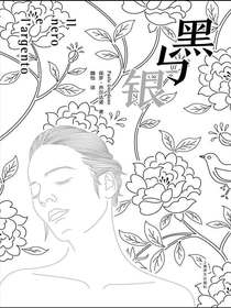 黑与银