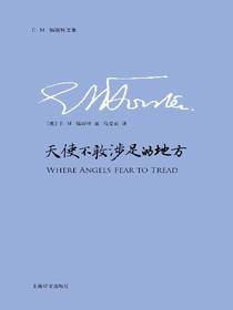 天使不敢涉足的地方（E.M.福斯特文集）