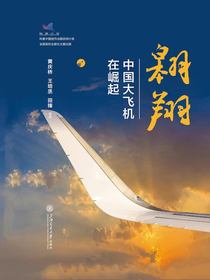 翱翔：中国大飞机在崛起（精选）