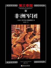 第三帝国系列：非洲军团9