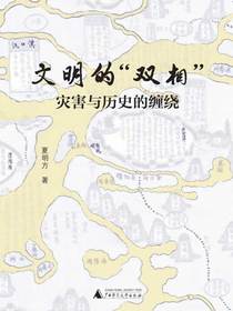 文明的“双相”：灾害与历史的缠绕