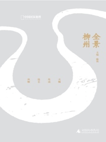 全景柳州