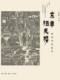 东单栖凤楼：胡同里的故事