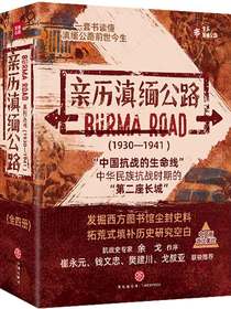 亲历滇缅公路（全四册）